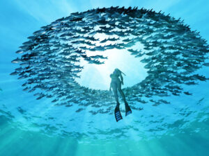 National sea day